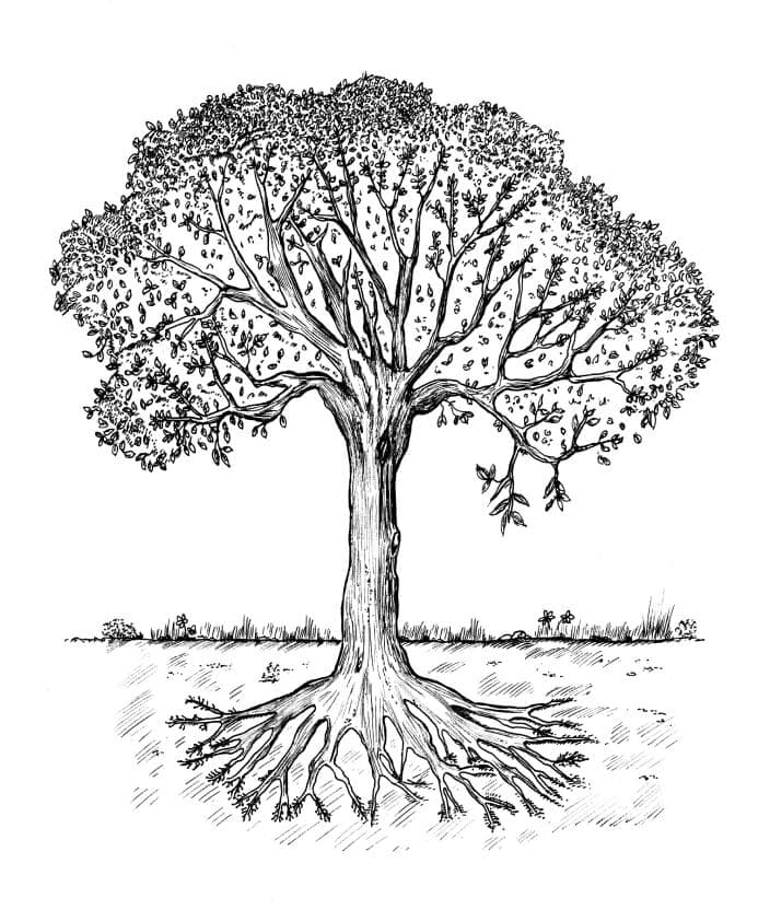 Logo Domaine Bretaudeau