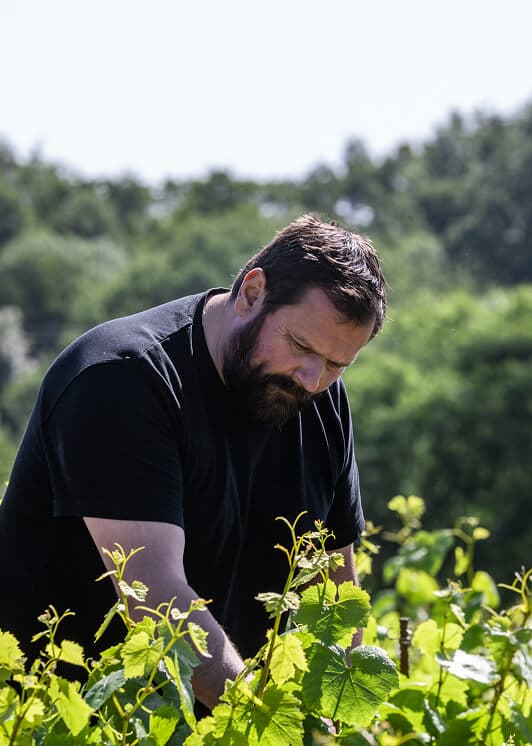 Travail de la vigne avec Jérôme Bretaudeau
